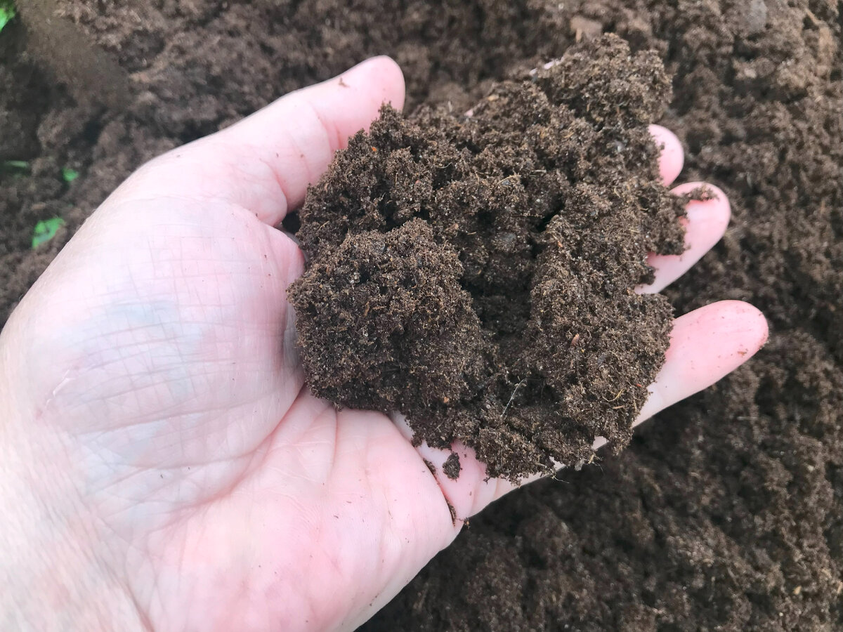 Експерти розповіли, як покращити структуру ґрунту правильною обробкою восени