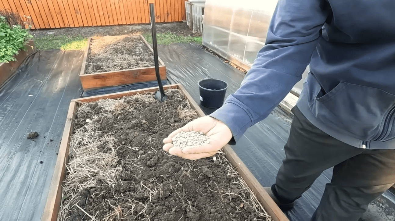 Городники розповіли, як у 3 рази підвищити родючість ґрунту