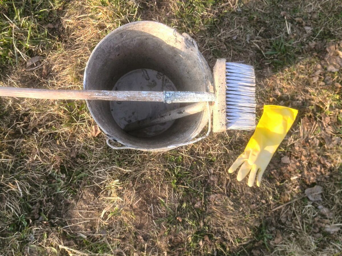 Експерти розповіли, як самостійно приготувати побілку для дерев, аби захистити рослини взимку