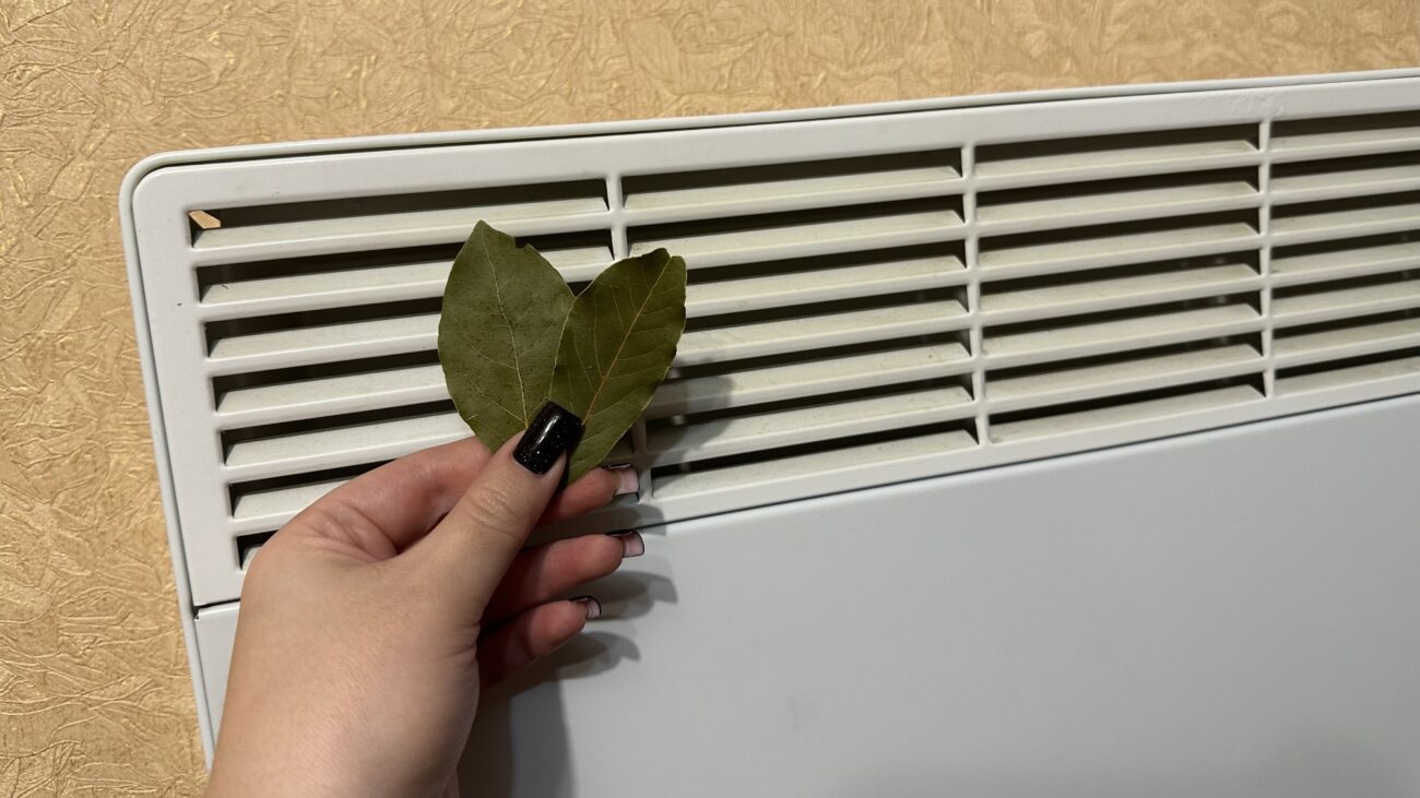 Господині розповіли, як ефективно використовувати лавровий лист у побуті Господині розповіли, як ефективно використовувати лавровий лист у побуті