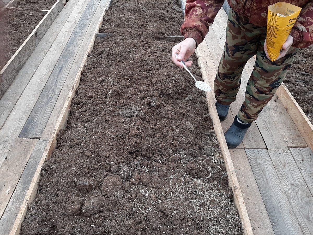 Експерти розповіли, як правильно доглядати за грядкою восени для кращої врожайності через рік