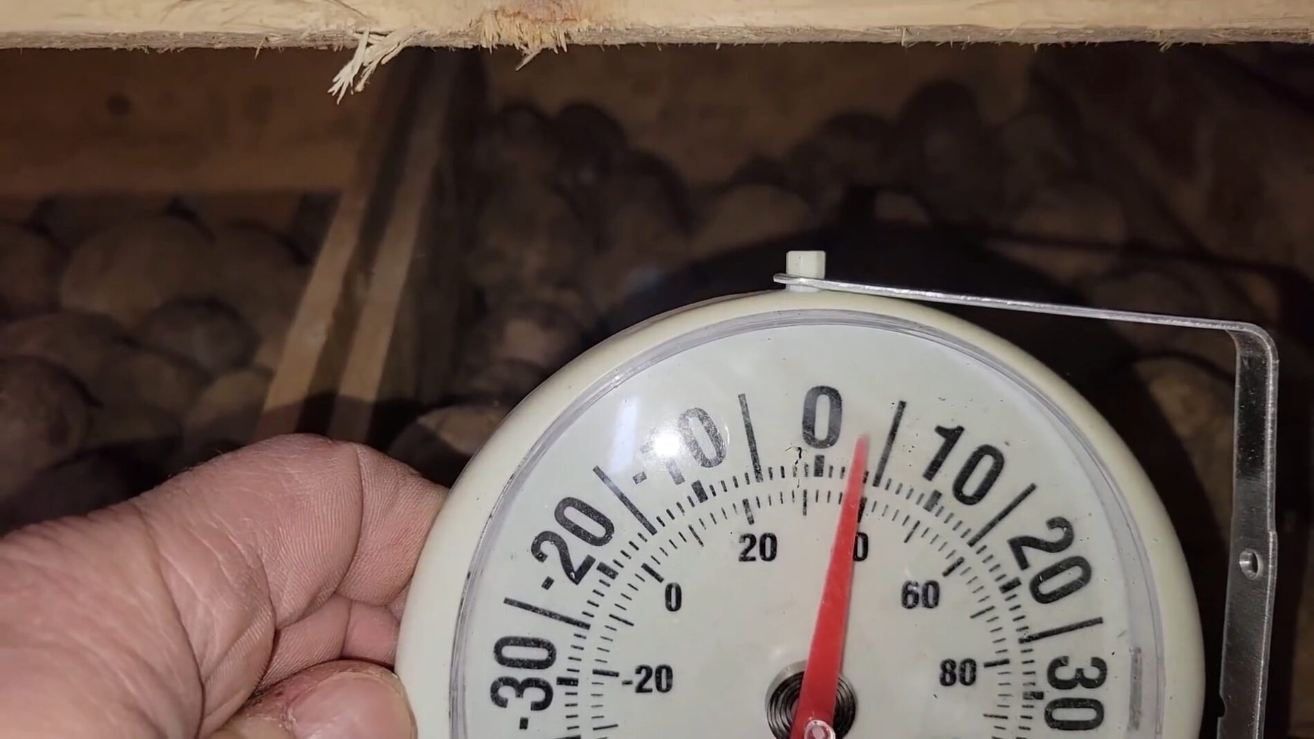 Фермери пояснили, як зберегти картоплю свіжою до наступного літа