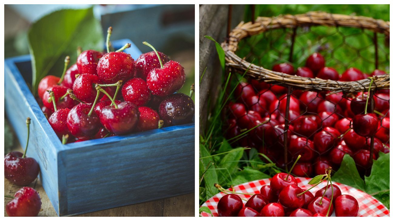 Господині пояснили, що на Полтавщині роблять з вишневими кісточками в липні-2025