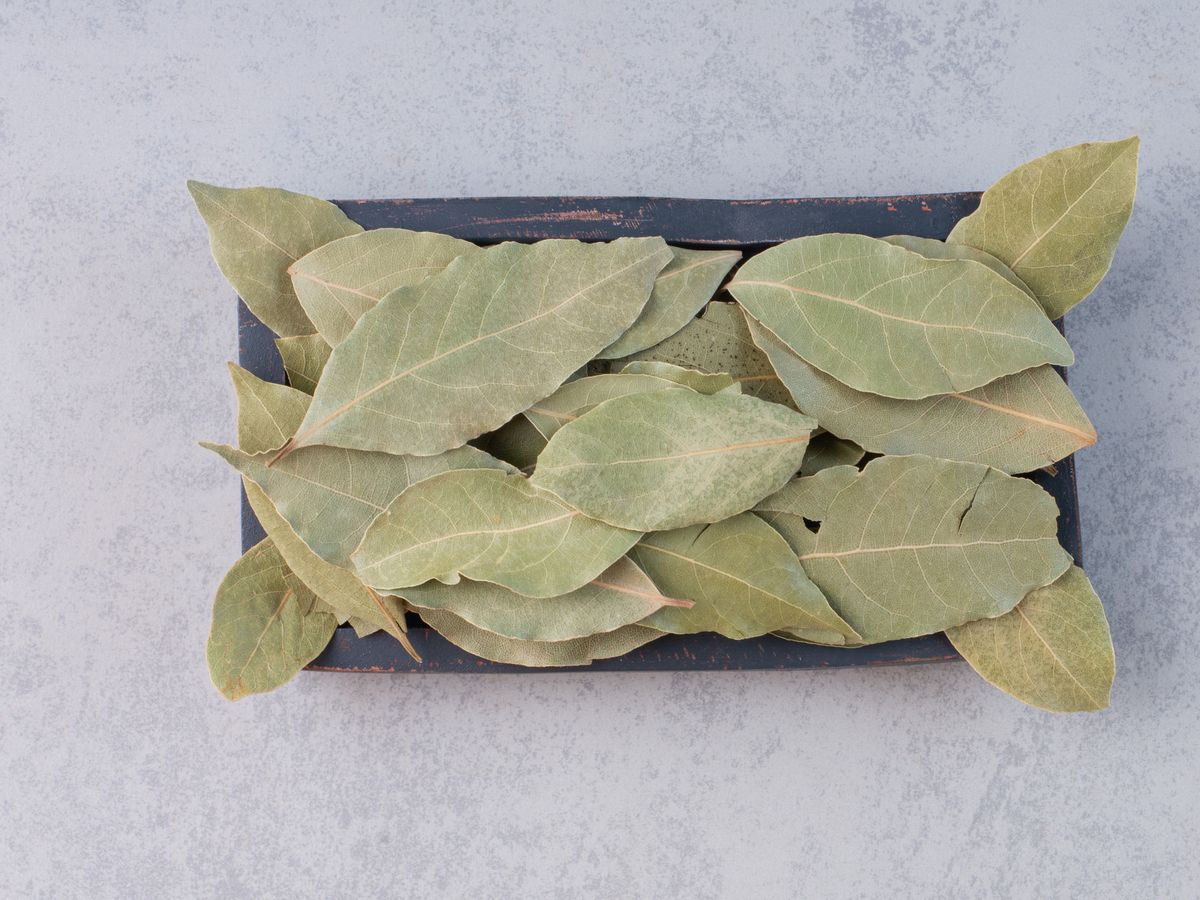 Господині розповіли, навіщо класти лавровий лист у сіль