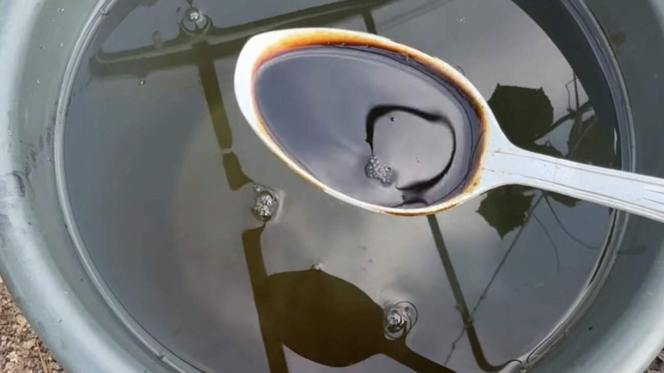 Городники розповіли, що зробити, аби томати плодоносили у жовтні 