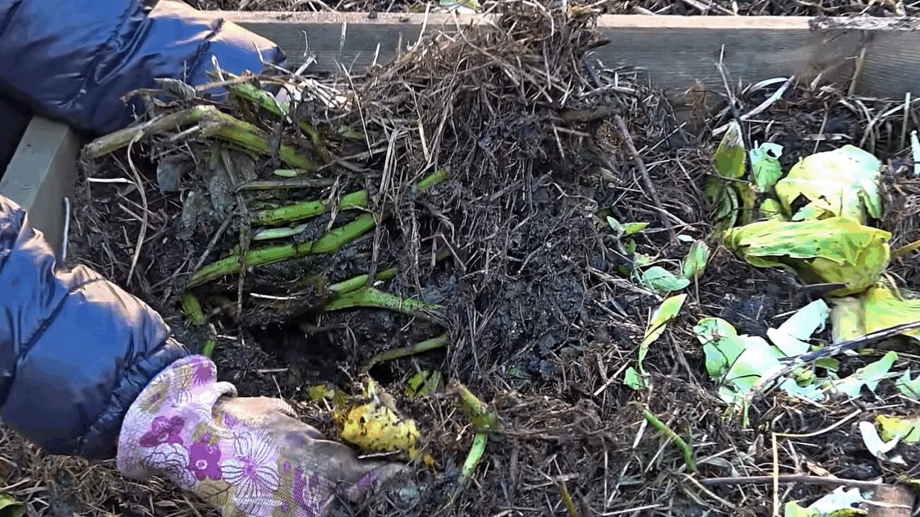 Городники розповіли, як старе варення здатне прискорити дозрівання компосту