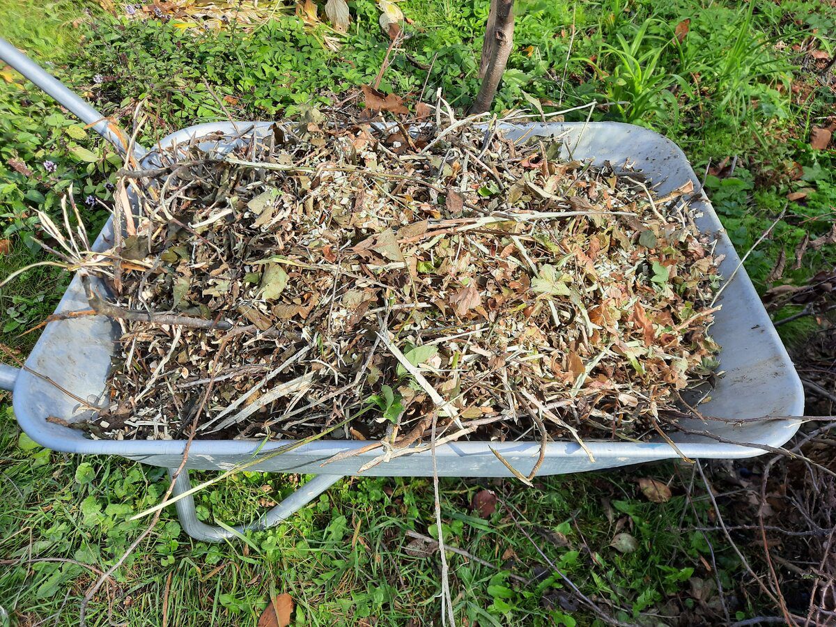 Експерти пояснили, як правильно закладати опале листя восени у компостну купу – поради