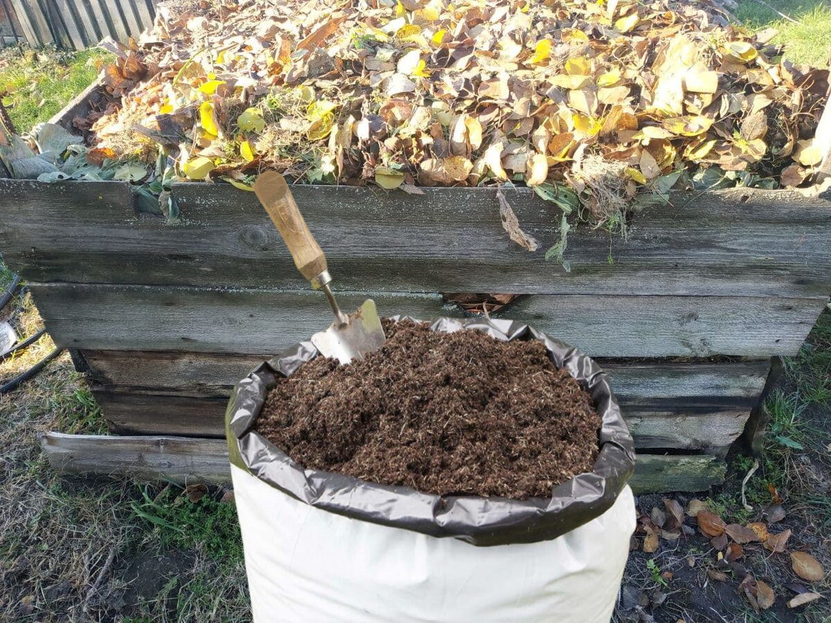 Експерти пояснили, як правильно закладати опале листя восени у компостну купу – поради