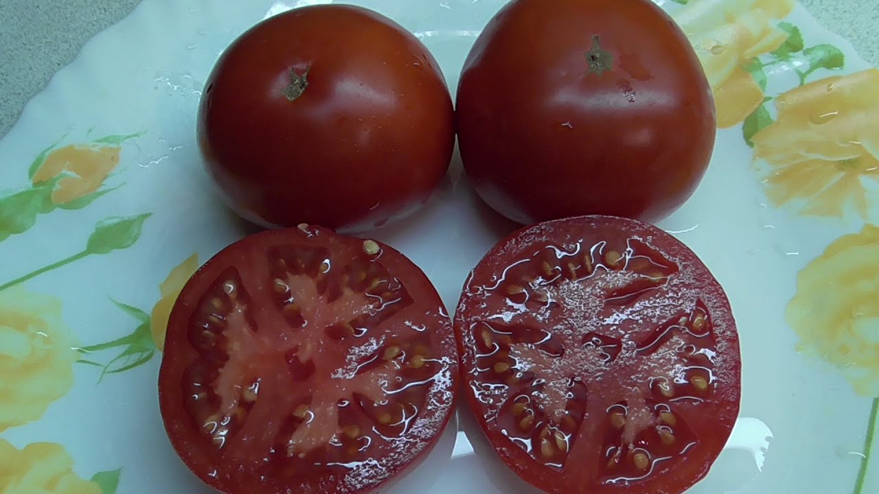 Аграрії назвали найсмачніший швидкостиглий сорт помідорів