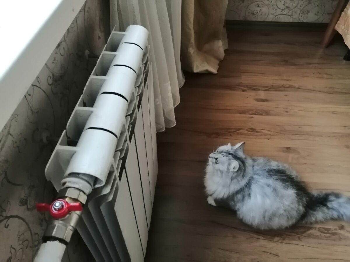 Господині розповіли, як швидко висушити речі після прання