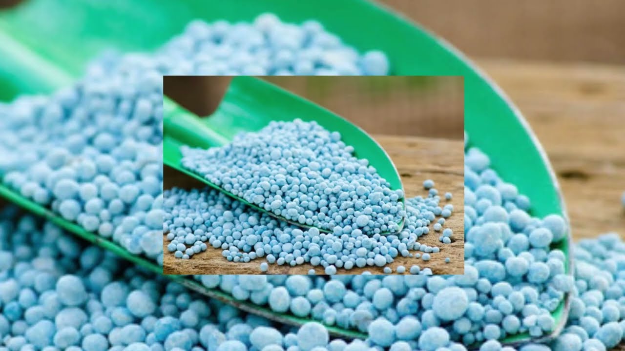 Агрономи розповіли, як використовувати нітрофоску з користю для рослин