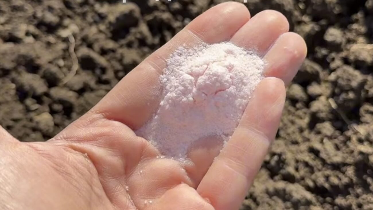 Городники розповіли, який засіб зробить у теплиці ґрунт пухким і родючим Городники розповіли, який засіб зробить у теплиці ґрунт пухким і родючим