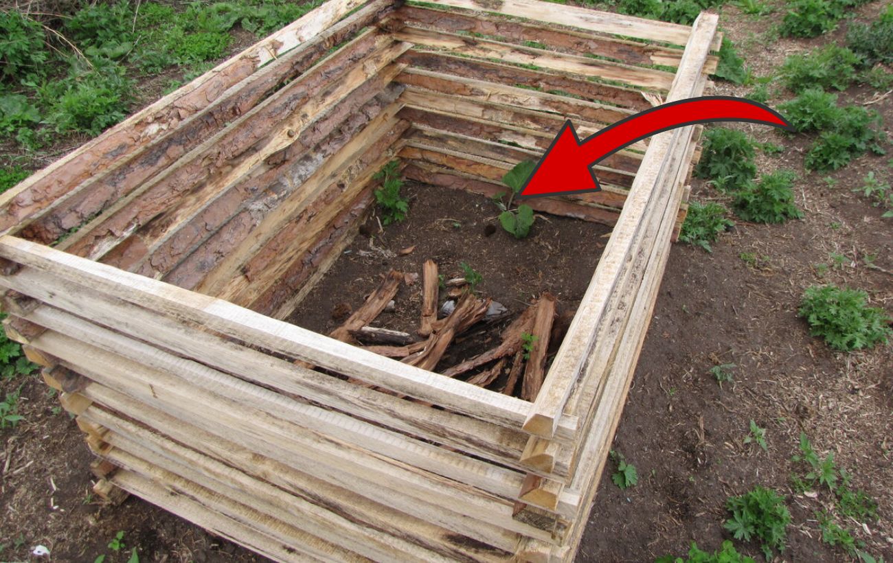 Як прискорити дозрівання компосту