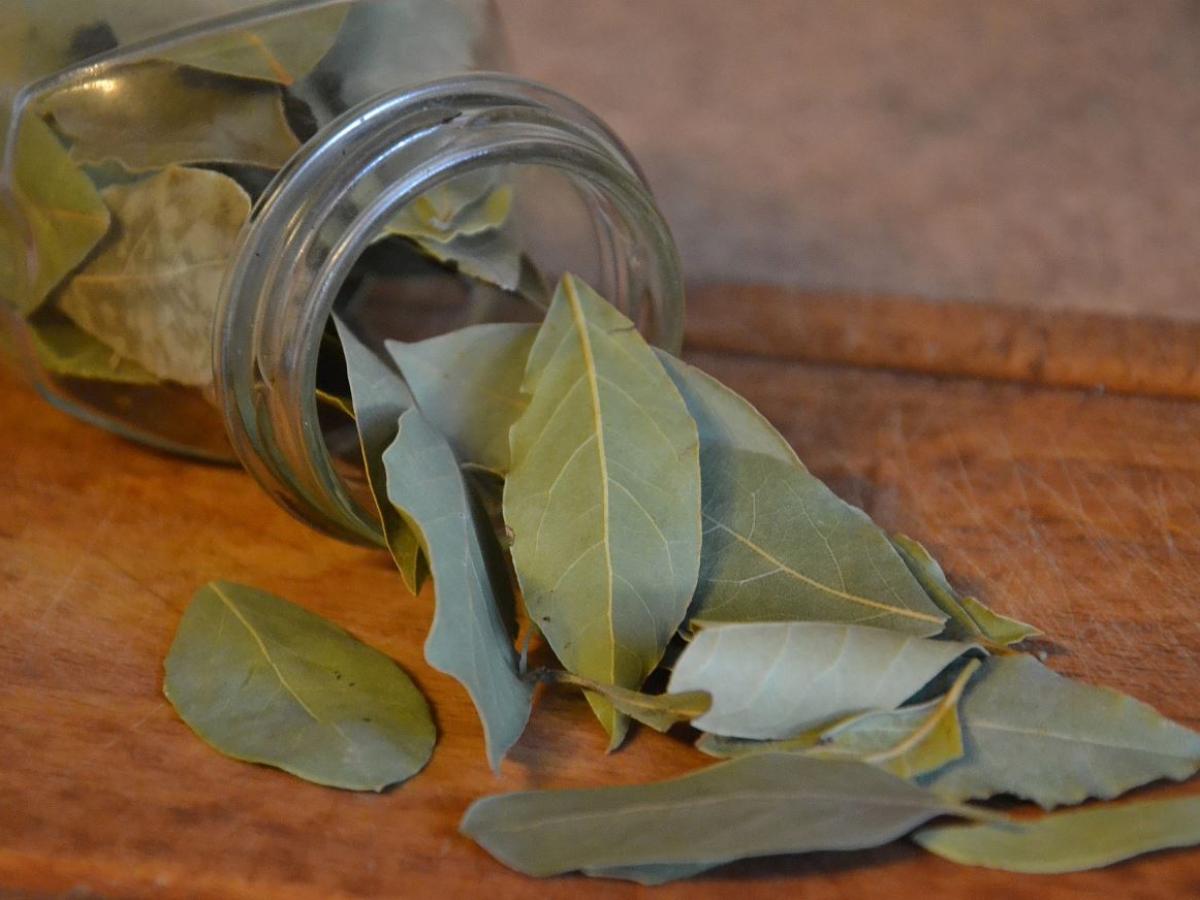 Господині розповіли, навіщо класти лавровий лист у шафу та під килим 
