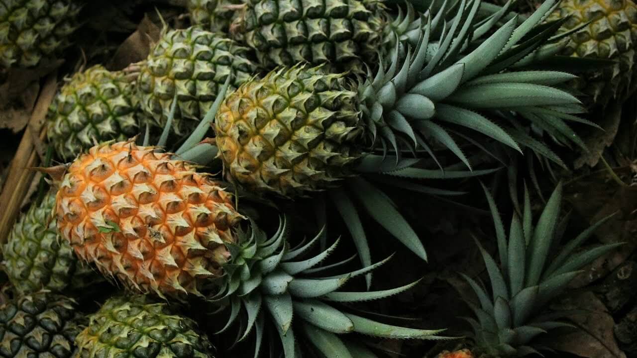 6 фруктів, які краще купувати замороженими, а не свіжими Ананас