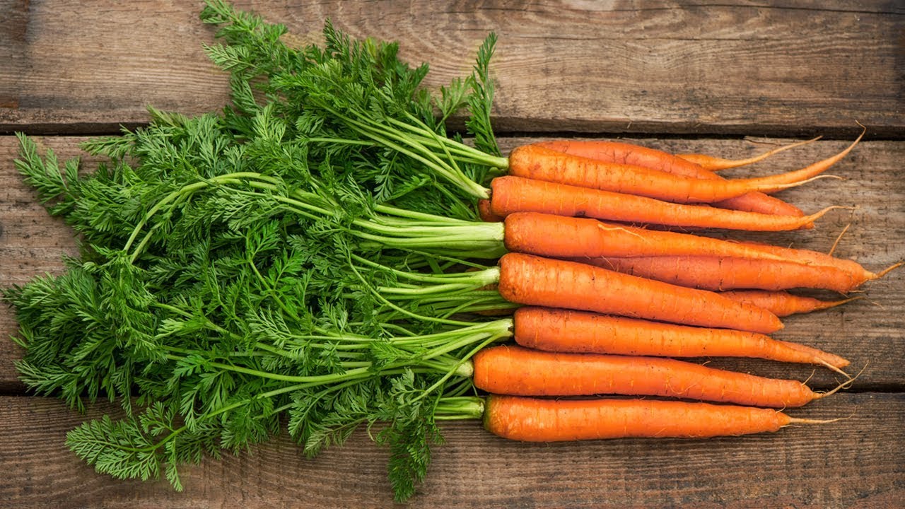 Експерти розповіли, як правильно зберегти моркву вдома Експерти розповіли, як правильно зберегти моркву вдома