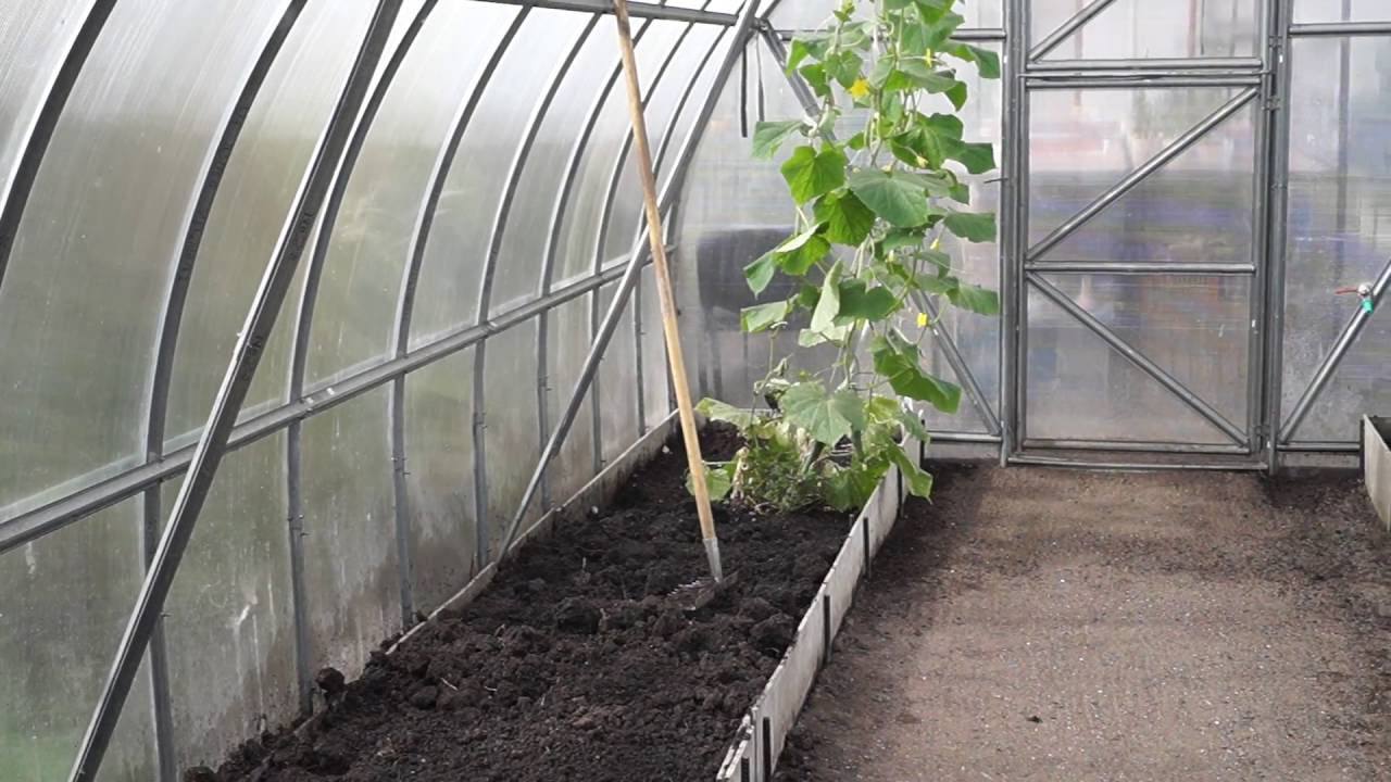 Садівники розповіли, як правильно підготувати теплицю до зими
