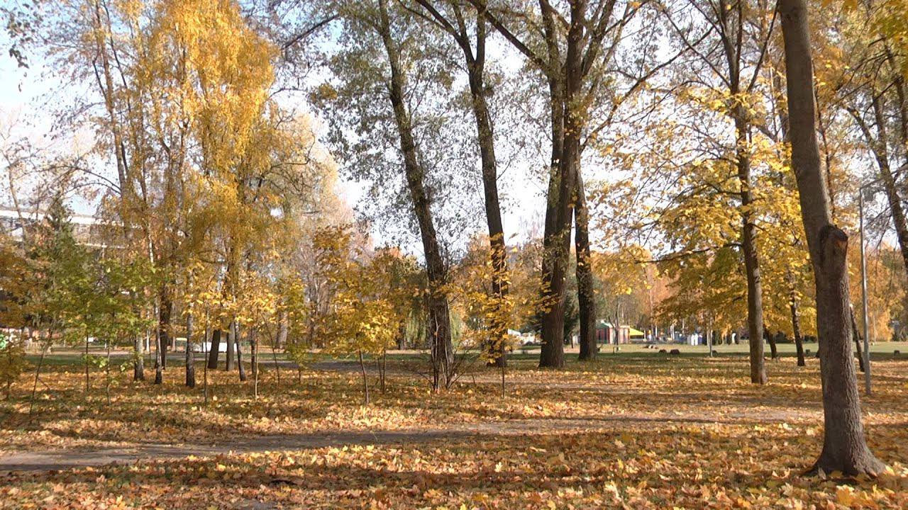 Експерти розповіли про важливі справи у саду в жовтні