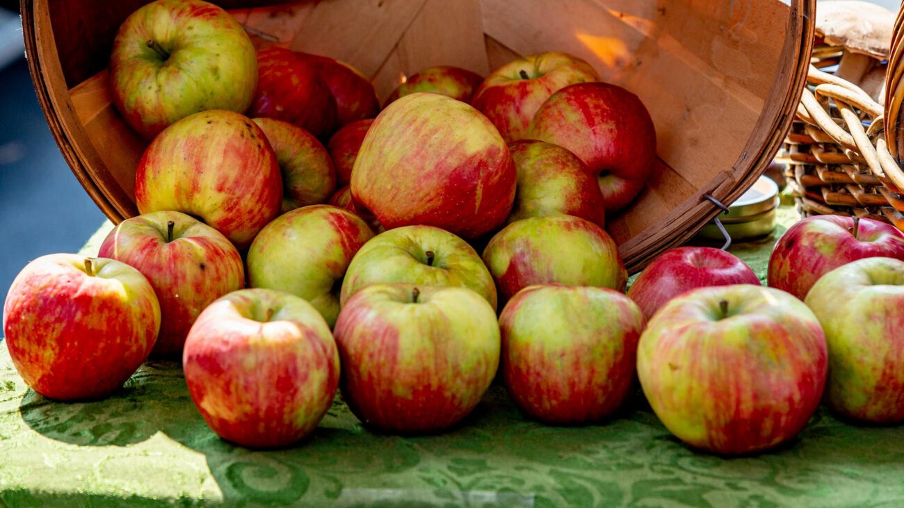 Дачники розповіли, як запобігти гниттю яблук після збору врожаю Дачники розповіли, як запобігти гниттю яблук після збору врожаю