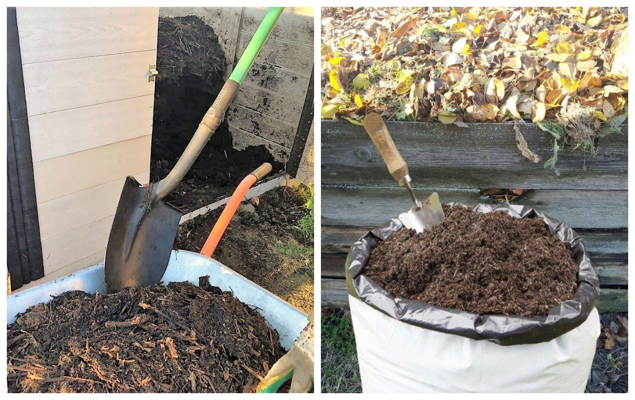 Експерти розповіли, як легко перетворити опале листя на корисний компост 