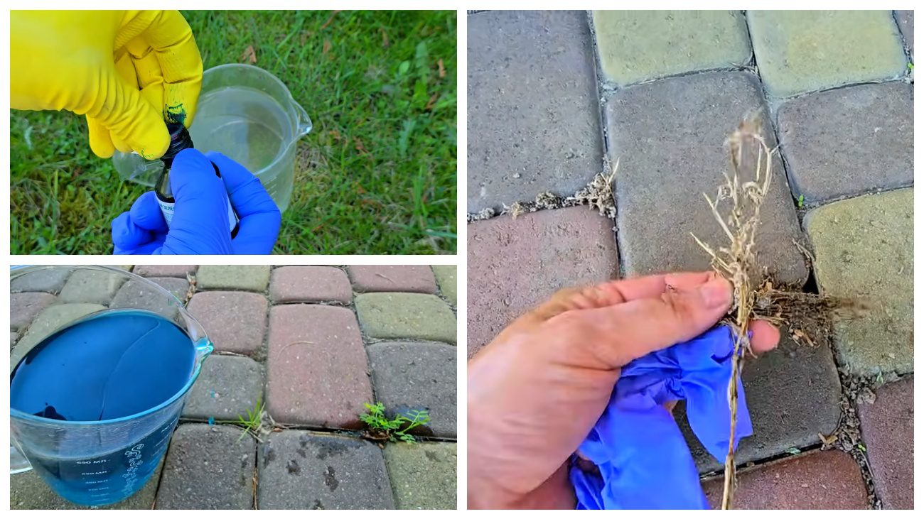 Садівники розповіли, як просто видалити траву між тротуарною плиткою
