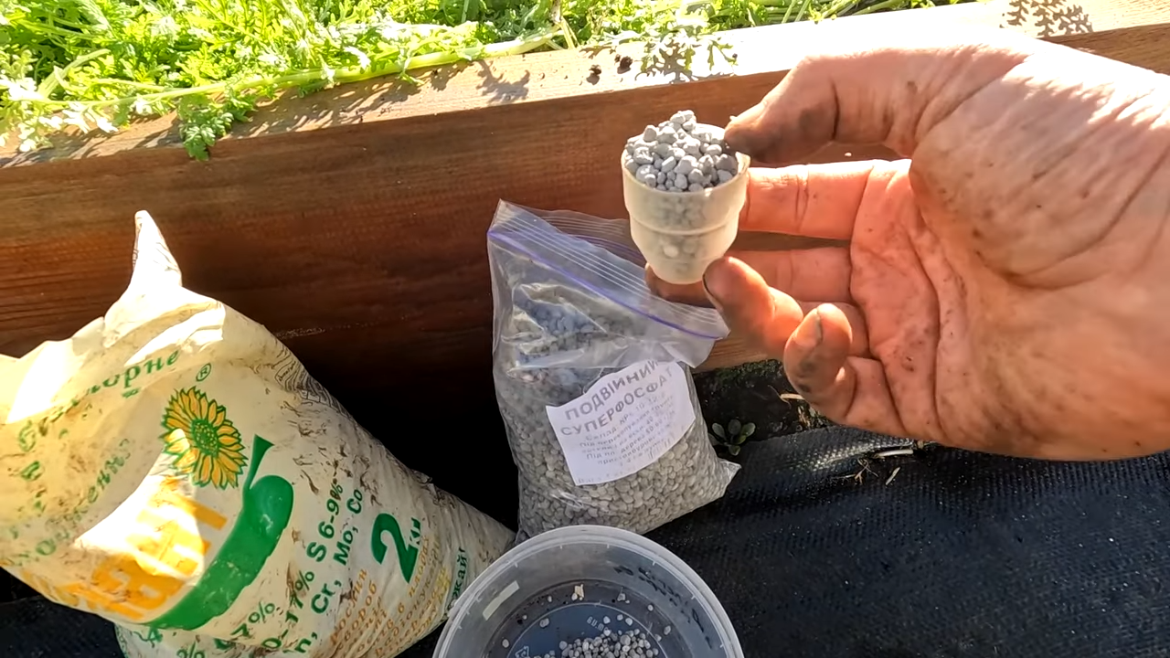 Городники порадили, чим підвищити врожайність ґрунту