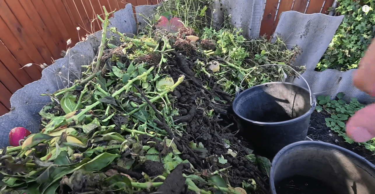 Як правильно розсипати компост, щоб отримати найбільшу користь для ґрунту