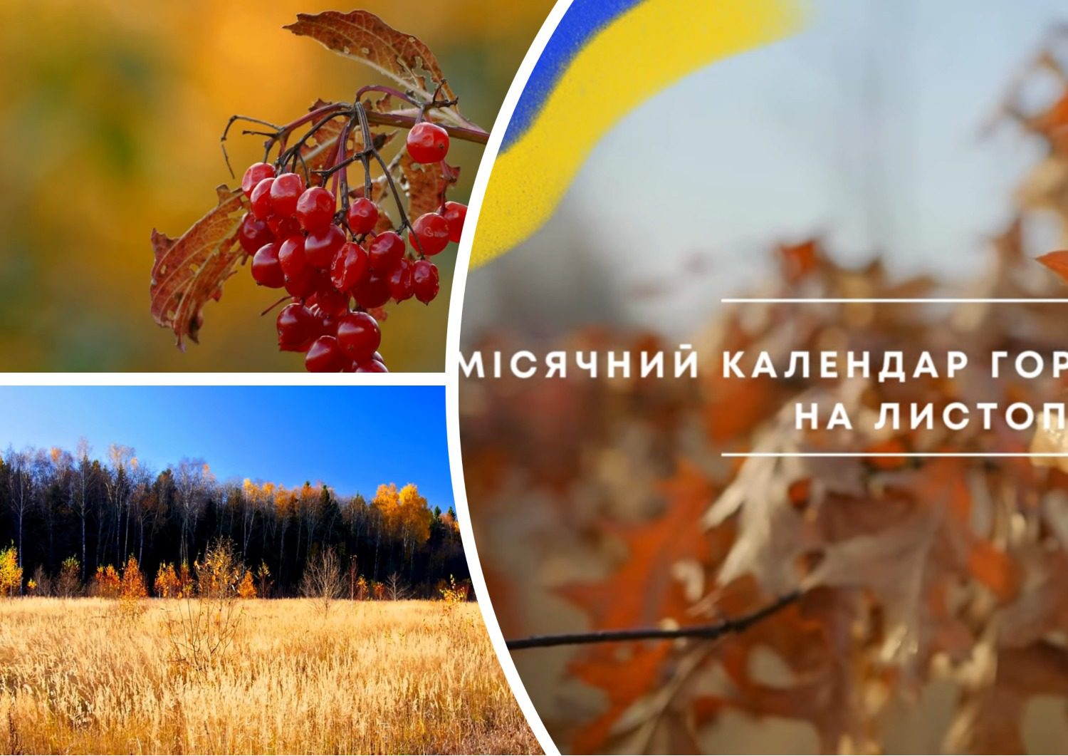 Експерти розповіли про роботи на дачі у листопаді згідно з Місячним календарем Експерти розповіли про роботи на дачі у листопаді згідно з Місячним календарем