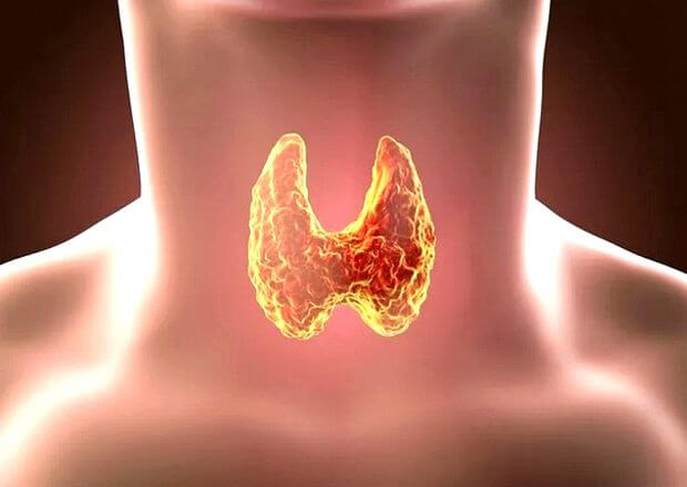 Лікарі назвали головні фактори, які руйнують щитоподібну залозу Щитовидна