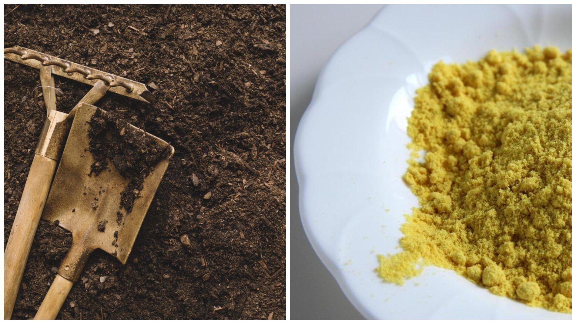 Городники розповіли, чим можна замінити гній на городі