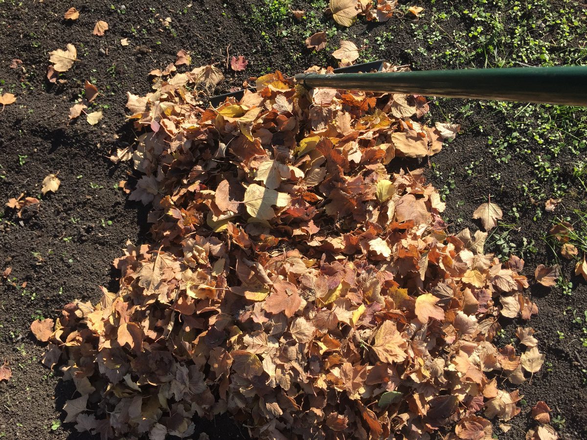 Експерти розповіли, як зробити корисний компост із кухонних відходів 