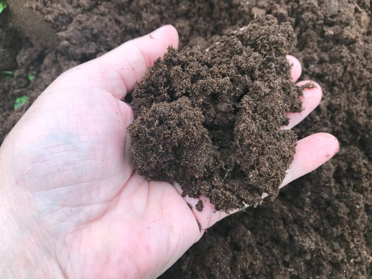 Експерти розповіли, чим можна замінити гній на городі