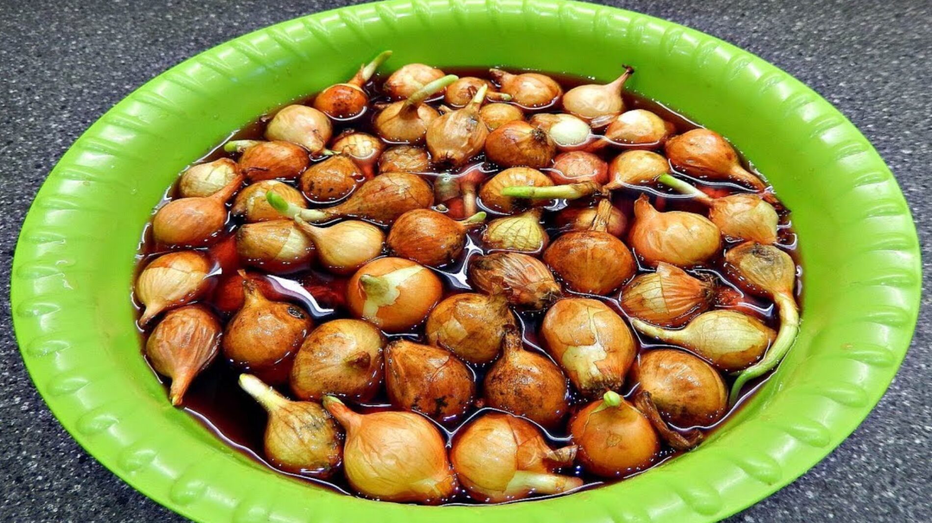 Городники розповіли, як правильно обробити цибулю сіянку перед висадкою Городники розповіли, як правильно обробити цибулю сіянку перед висадкою