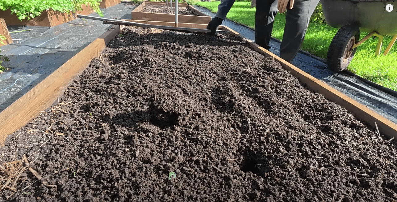 Як правильно розсипати компост, щоб отримати найбільшу користь для ґрунту