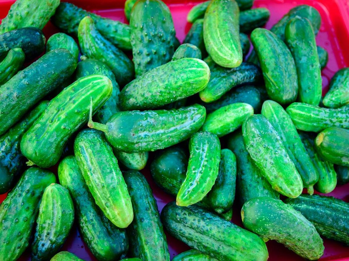 Господині поділилися незвичним способом, як зберігати огірки свіжими пів року