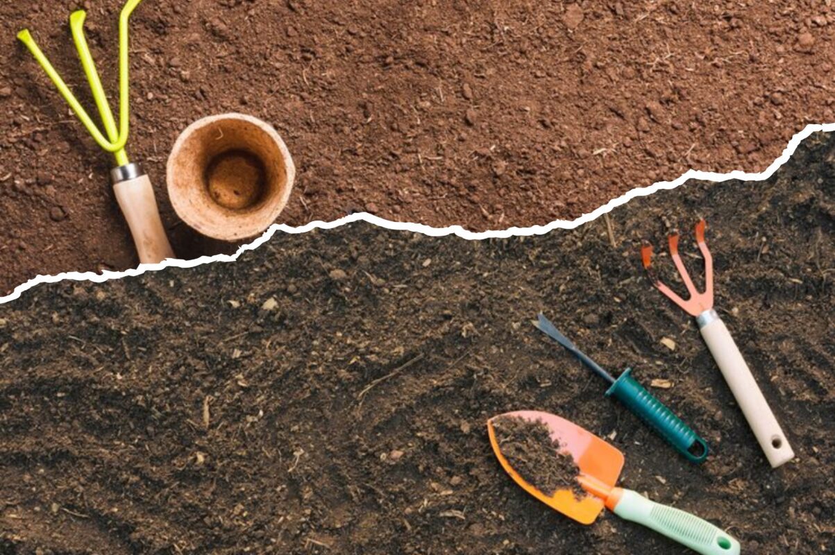 Городники розповіли, як покращити родючість ґрунту восени – дієвий метод