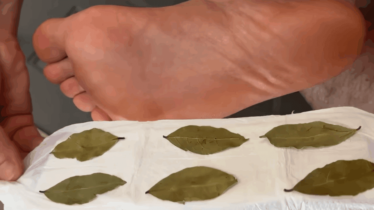 Експерти показали, як покращити самопочуття за допомогою лаврового листа 