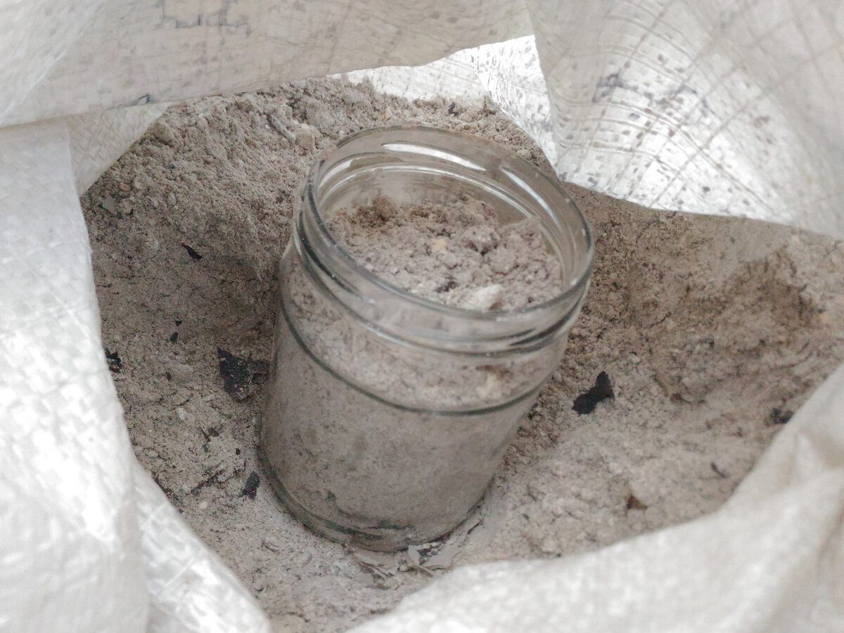 Городники розповіли, чим підживити цибулю у жовтні