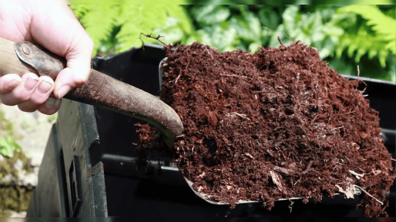 Городники розповіли про суміш, здатну замінити гній