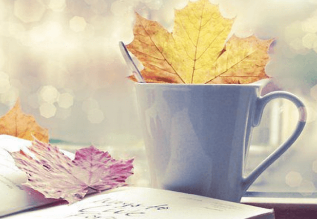 Як подолати осінній застій і повернути продуктивність Осінь