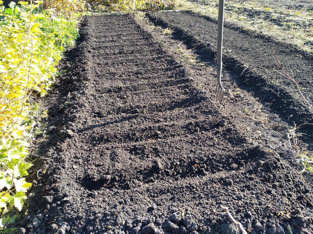 Експерти розповіли, як зробити землю родючою без гною 