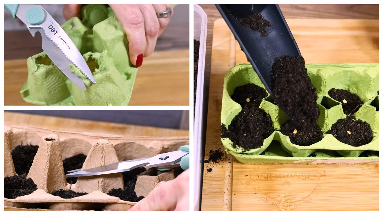 Городники поділилися лайфхаком щодо посадки дрібного насіння