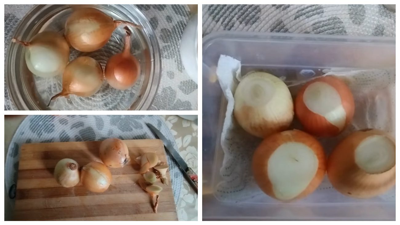 Городники поділилися секретами вирощування цибулі на підвіконні