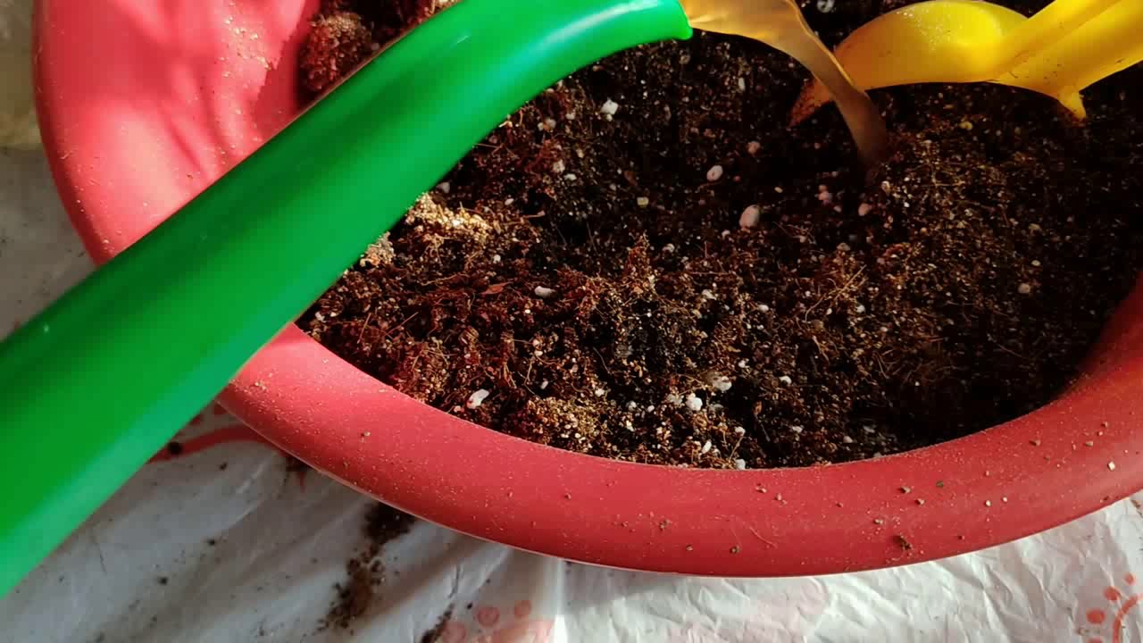 Агрономи поділилися простим рецептом ідеального ґрунту для розсади