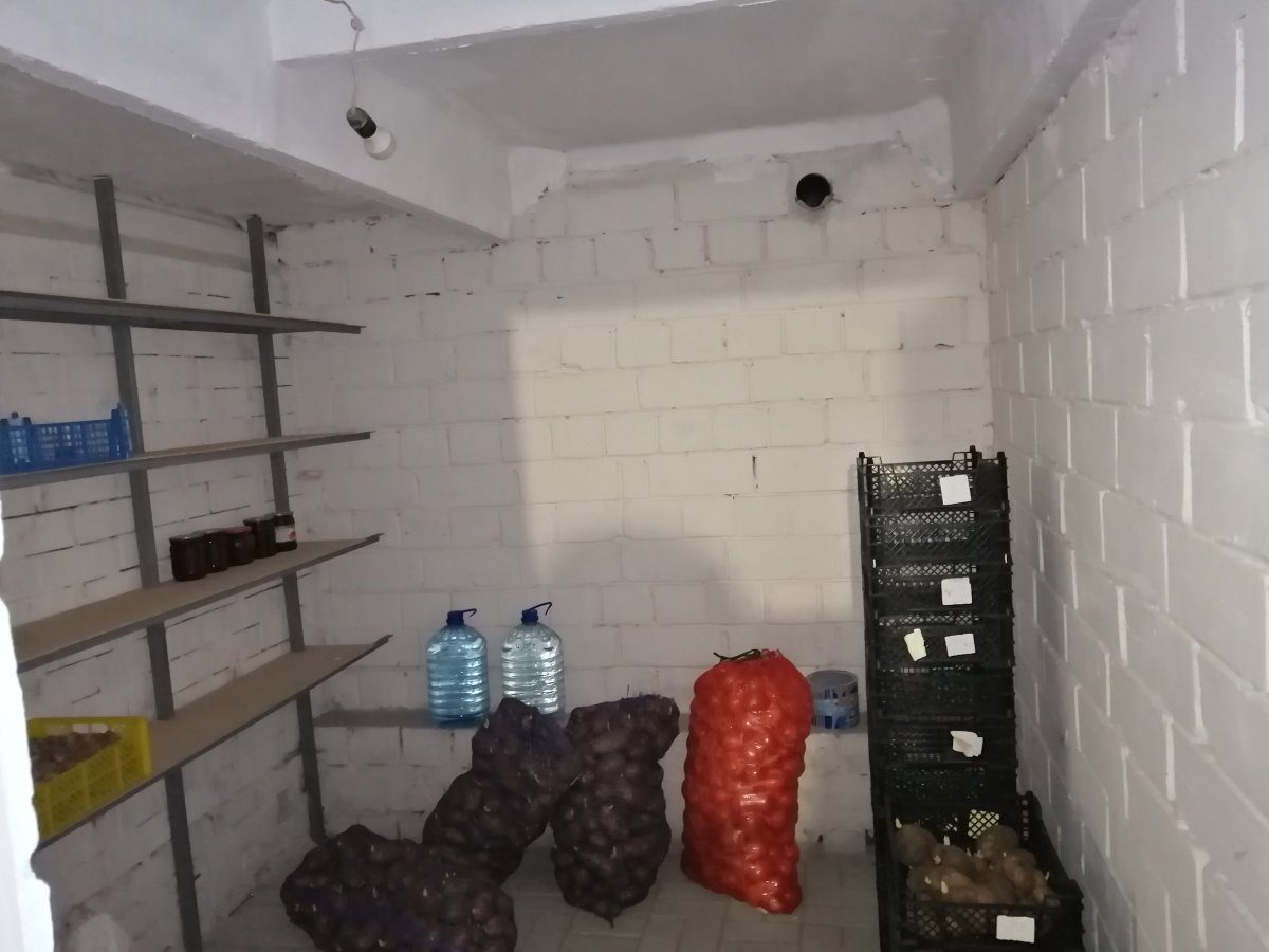 Експерти розповіли, які методи допоможуть захистити підвал від сирості та вогкості взимку