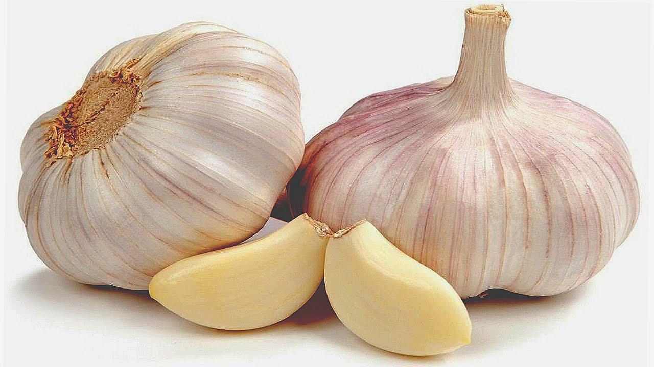 Чому гниє часник під час зберігання