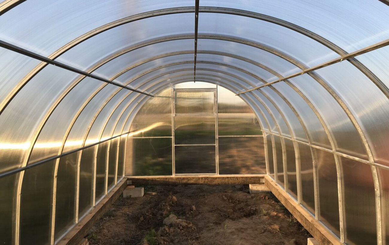 Експерти розповіли, що робити в теплиці наприкінці сезону