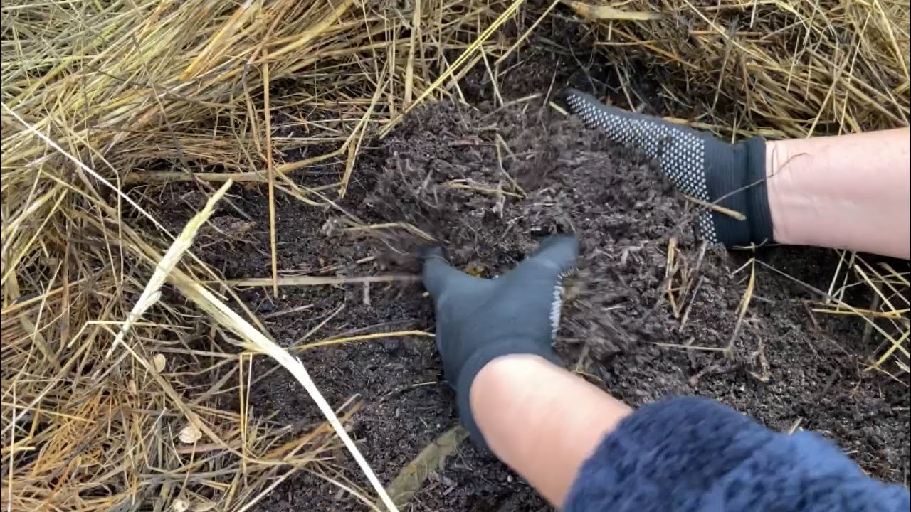 Осіння підготовка ґрунту