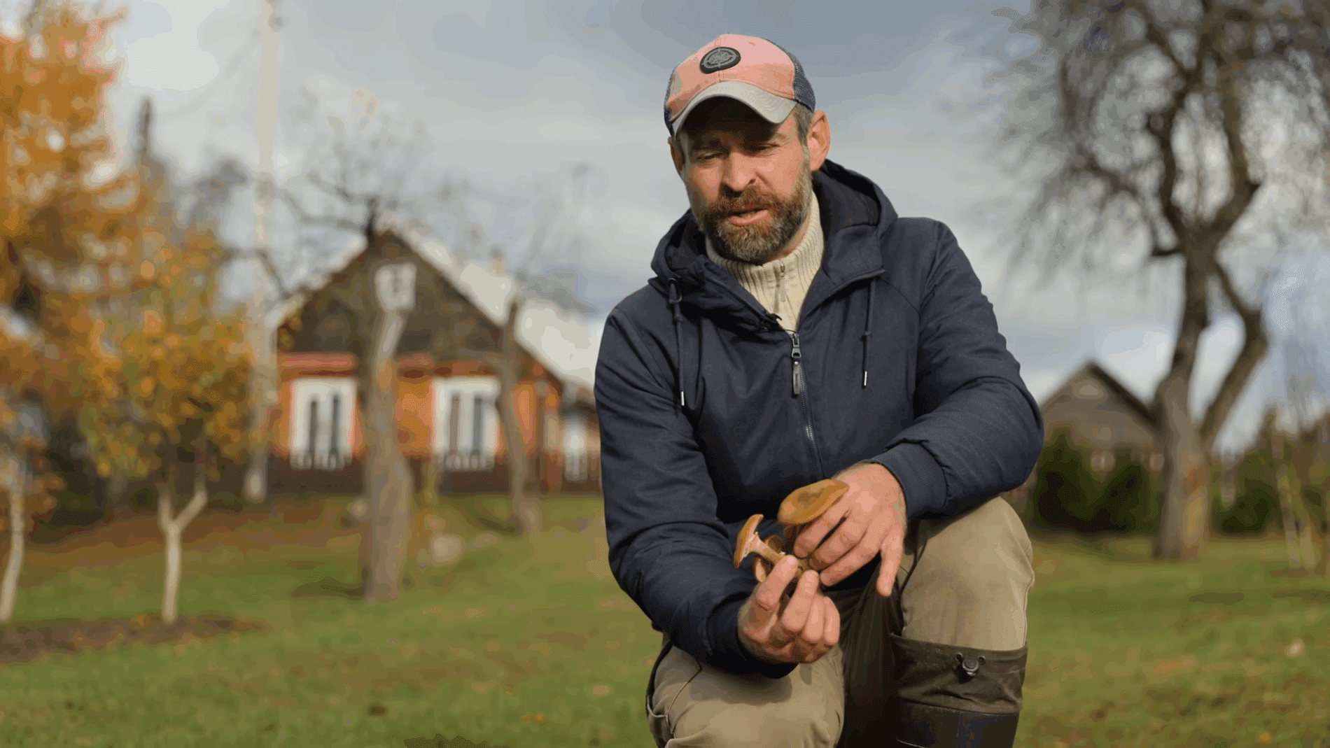 Експерти розповіли про найнебезпечніші гриби у саду