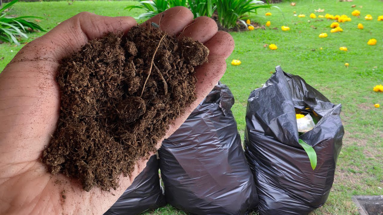 Експерти розповіли простий спосіб компостування на осінь